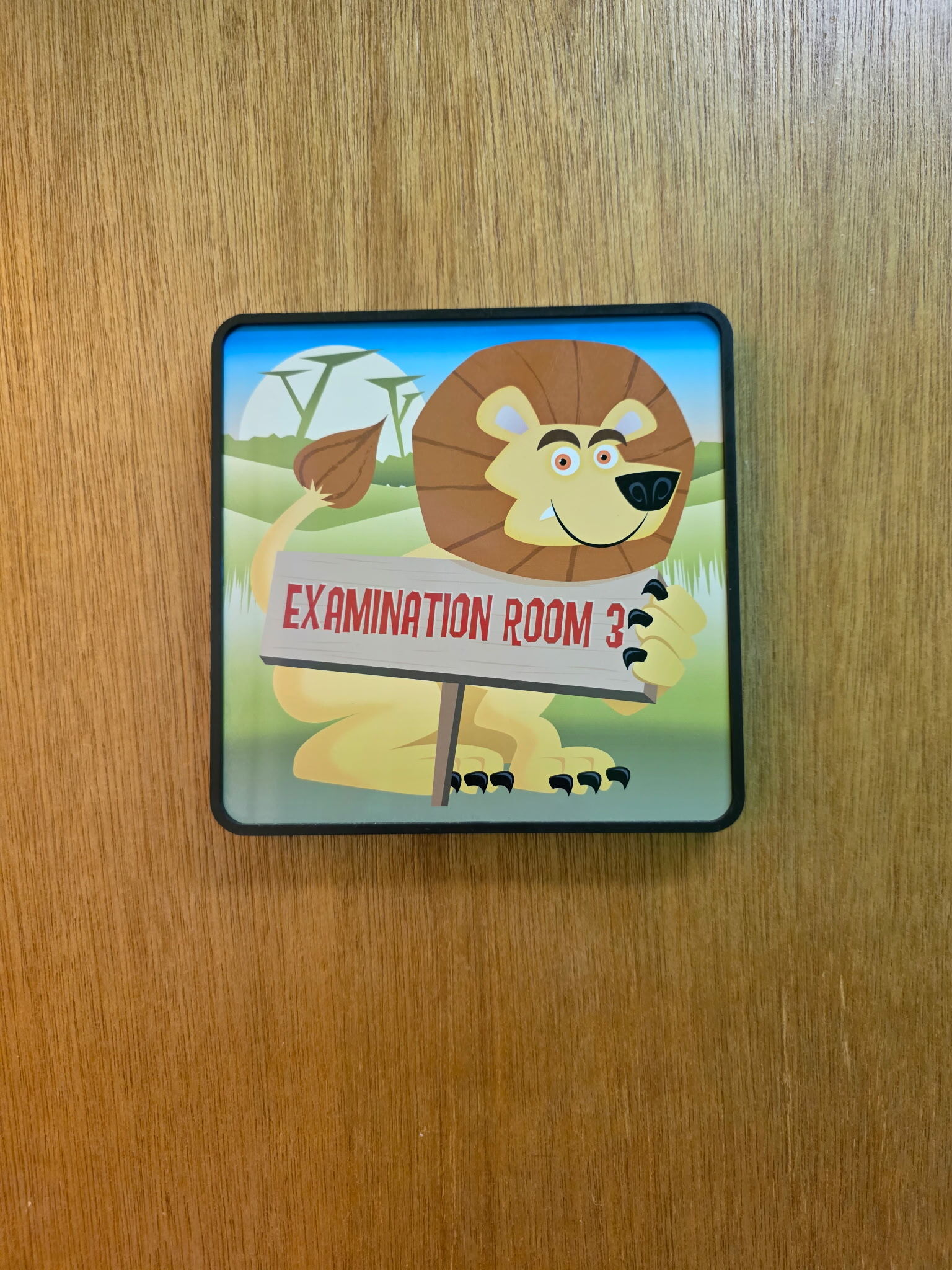 Examination Room 3 lion sign