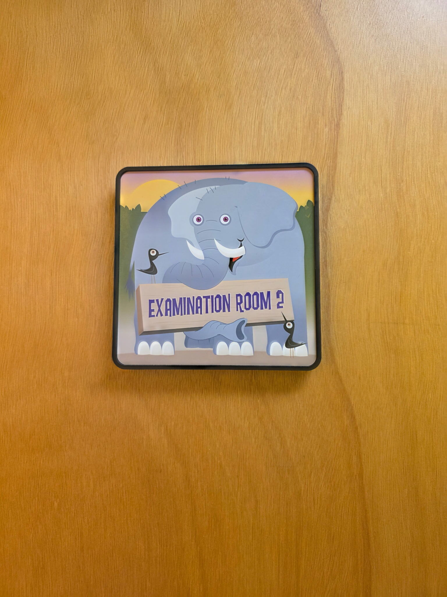 Examination Room 2 elephant sign